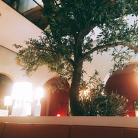 マディソン ニューヨーク キッチン - 