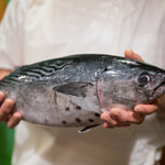 うを徳 - 2017.8 焼津スマガツオ