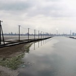 さぼーる - 江川海岸の列柱