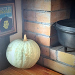 BARU 竹末 - 品評会で日本一になった方のカボチャ