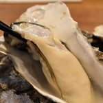 とん唐てん - 鳳牡蠣（生）