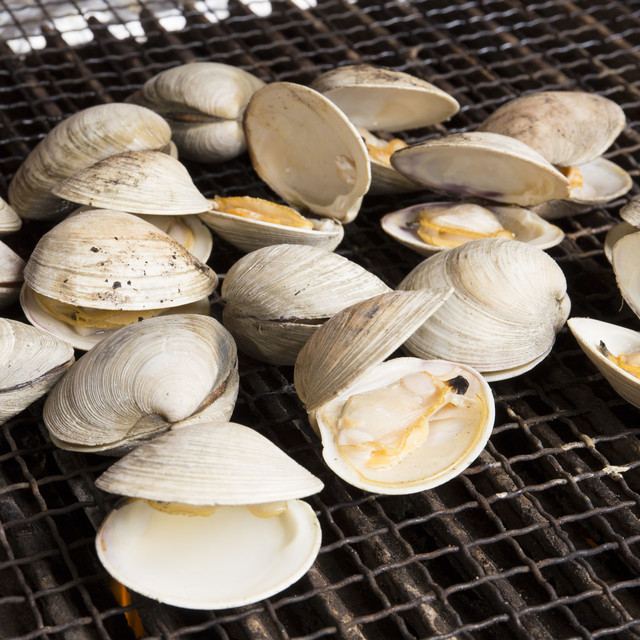 大曽根鱼贝センター