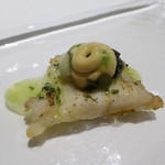 ウシマル - 深海魚のどんことしったか貝