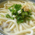 讃岐の里 - アップにするといい艶してます、透明度の高いダシもポイント高い。