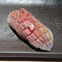 匠 進吾 - 鯵  塩〆 