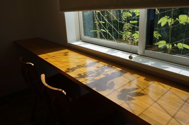 虹の森焼菓子店 - 不動の沢（ベーグル）の写真