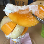 アオイ農園　ぶどうの木 - マンゴー