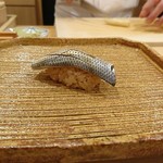 鮨 鈴木 - 小鰭