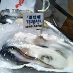 かき小屋 - 夏牡蠣TUBAKI　長崎県　五島列島産