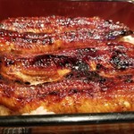 Ikiunagi Shami - 