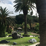 ヴェント・エ・イル・レオーネ - 