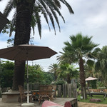 ヴェント・エ・イル・レオーネ - 