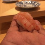 小松 弥助 - 甘えび