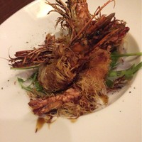 クインチチェントラーレ - 
