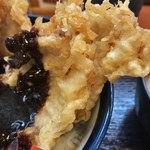 Tendon Tenya - 