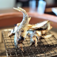 松川 - 鮎