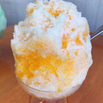 かき氷 は大好き 富田屋氷室 で 群馬県伊勢崎市中央町11 2 By わに 富田屋氷室 新伊勢崎 かき氷 食べログ