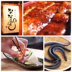 Unagi Nanatsuboshi - 