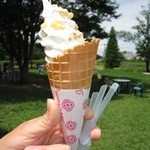 山田牧場 ミルクの里 - マンゴーソフトクリーム