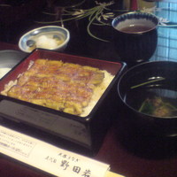 五代目 野田岩 麻布飯倉本店 - うな重　菊