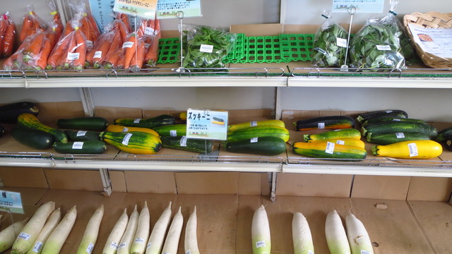 グリーンヒル905（グリーンヒルキュウマルゴ） - 網走（その他）の写真