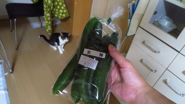 グリーンヒル905（グリーンヒルキュウマルゴ） - 網走（その他）の写真