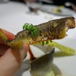 レフェルヴェソンス - 13