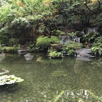 日本料理「雲海」 - 