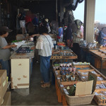 活魚料理 びんび家 - 店頭で海産物も販売しています。