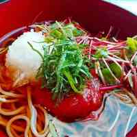鳥と手打ち蕎麦 とり数寄 東急プラザ銀座店 - 