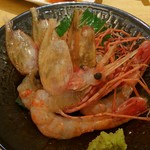 烏賊 鮨ダイニング 鮮助 - 赤エビ