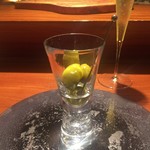 TACUBO - オリーブ