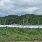 秋保ワイナリー - 