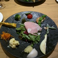 MOTORA  - 