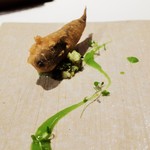 ジョンティ アッシュ - 