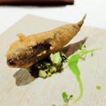 ジョンティ アッシュ - 