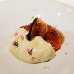 ジョンティ アッシュ - 