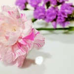 ジョンティ アッシュ - 