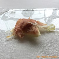 カノビアーノ アネックス - 