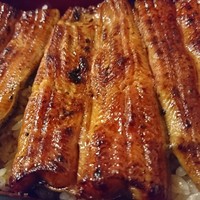 うなぎ割烹 大江戸 - 