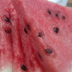 胡家小館 - スイカのサービス