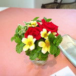 ヴィオレット・ステラ - 【2016.11】