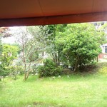 ヴィオレット・ステラ - 【2016.7】