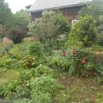 農園の四季 - ガーデンが見えます