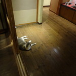 和味の宿　角上楼 - 