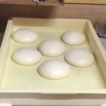 ピッザピッザピッザ - とても良く発酵したピザ生地