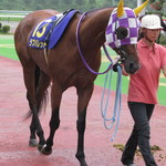 岩手競馬クラブハウス - 二着馬 岩手代表 ラブバレット