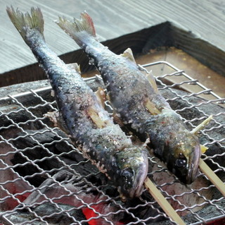 h Furusato - ヤマメです。いけすの泳いでいるヤマメを捕獲して串に刺して目の前で炭火で焼いていただきます。