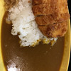 博多カレー研究所 博多とんこつあごだしカレー