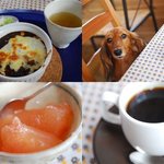 プルーンの木 - 